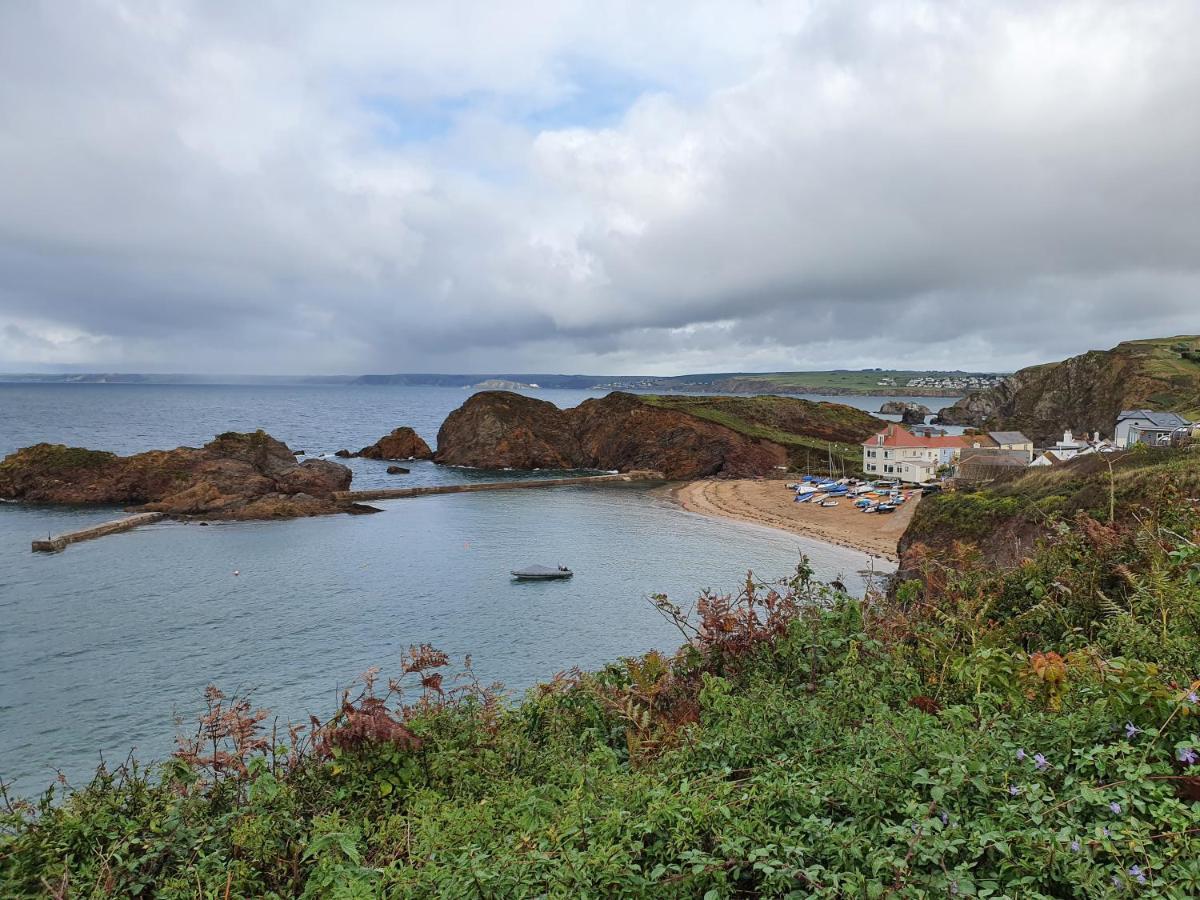 Swift Cottage Broadhempston Dış mekan fotoğraf