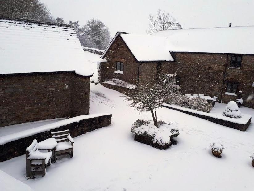 Swift Cottage Broadhempston Dış mekan fotoğraf