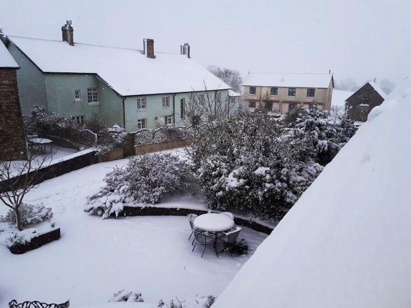 Swift Cottage Broadhempston Dış mekan fotoğraf