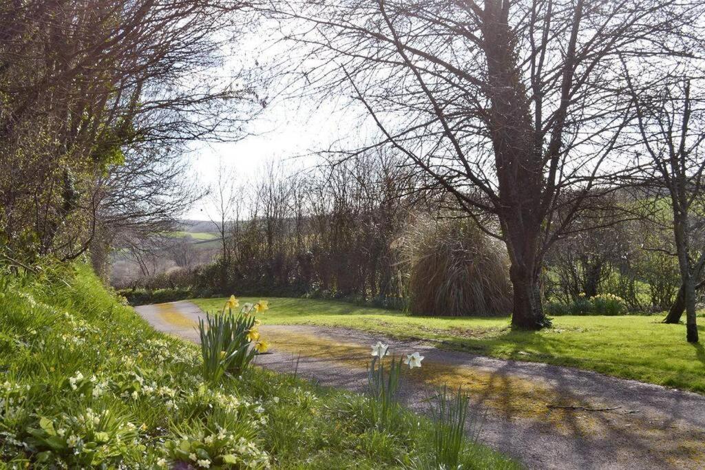 Swift Cottage Broadhempston Dış mekan fotoğraf