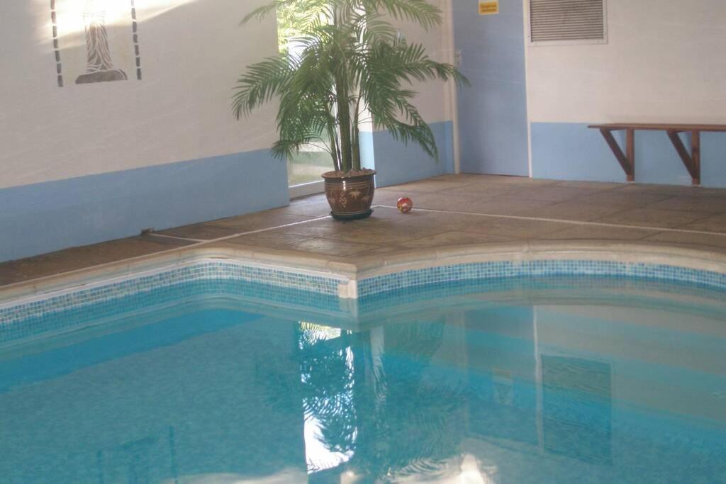 Swift Cottage Broadhempston Dış mekan fotoğraf